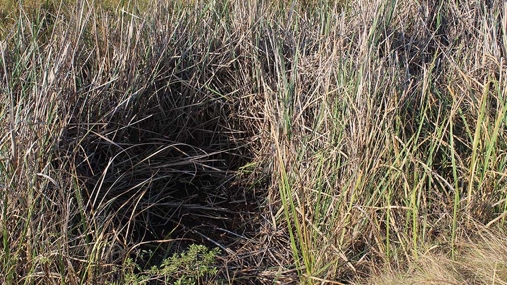 One of the bodies was found in this ditch near the church.